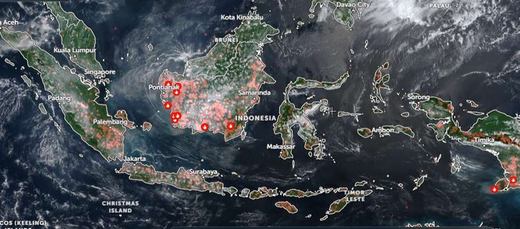 Titik Api Kebakaran Hutan dan Lahan Meluas di Sejumlah Wilayah Indonesia