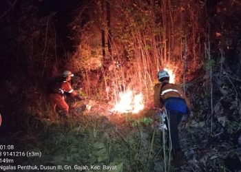 Vegetasi Kering, Kebakaran Hutan dan Lahan Meluas di Sejumlah Wilayah Indonesia