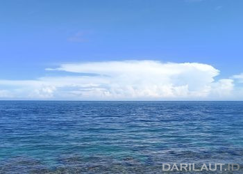 Rekor Tertinggi Suhu Permukaan Laut, Dunia Mencatat Bulan Juli terhangat Kedua Dalam Sejarah