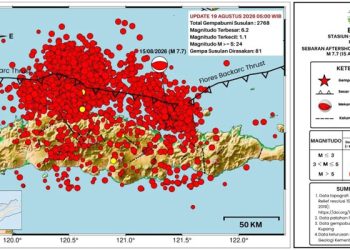 BMKG Catat 2.768 Gempa Susulan di NTT, Diperkirakan Berakhir Sebulan ke Depan