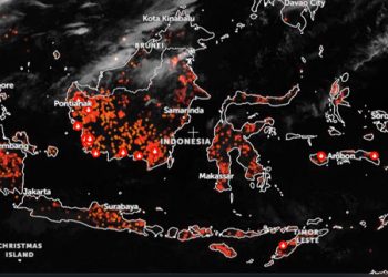 Catatan Kebakaran Hutan dan Lahan di Indonesia 7 Hingga 23 Agustus
