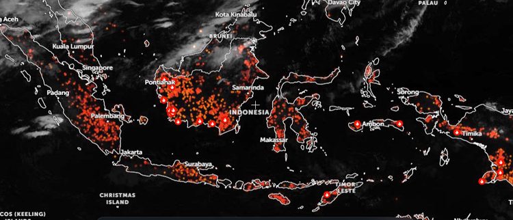 Catatan Kebakaran Hutan dan Lahan di Indonesia 7 Hingga 23 Agustus