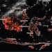 Catatan Kebakaran Hutan dan Lahan di Indonesia 7 Hingga 23 Agustus