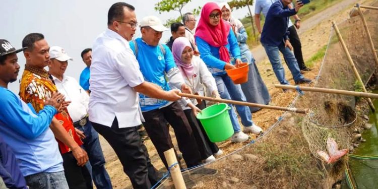 Lahan Terdampak Banjir Rob Dapat Dimanfaatkan Menanam Padi, Budi Daya Rumput Laut dan Ikan