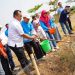 Lahan Terdampak Banjir Rob Dapat Dimanfaatkan Menanam Padi, Budi Daya Rumput Laut dan Ikan