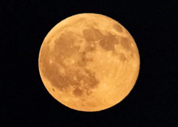 Malam Ini Harvest Moon, Piringan Bulan Bulat Utuh dan Terang