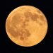 Malam Ini Harvest Moon, Piringan Bulan Bulat Utuh dan Terang