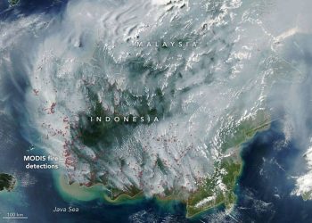 Sensor MODIS NASA Menangkap Kebakaran Lahan Gambut di Indonesia
