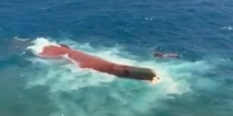 Tim SAR Temukan Bangkai KMP Virgo Transport 8  Virgo Transport 8 di Laut Jawa, 113 Orang Telah Dievakuasi
