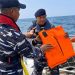 Pencarian 8 Orang Hilang di Selat Sunda, Tim SAR Verifikasi Jeriken dan Pelampung