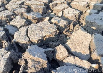 El Niño Intensitas Sangat Kuat, Curah Hujan Kategori Rendah