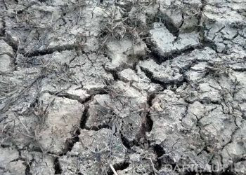 1.637 Titik Mengalami Hari Tanpa Hujan Kategori Ekstrim