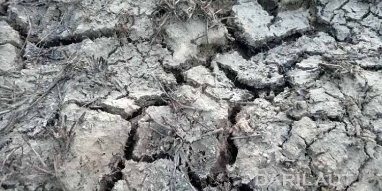 1.637 Titik Mengalami Hari Tanpa Hujan Kategori Ekstrim