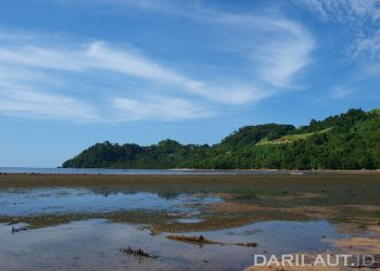 Pemanasan dan Mencairnya Es Pendorong Naiknya Permukaan Laut