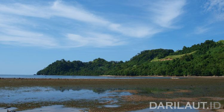 Pemanasan dan Mencairnya Es Pendorong Naiknya Permukaan Laut