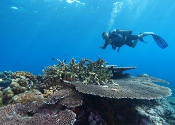 KKP Tetapkan Kawasan Konservasi di Maluku Tengah Seluas 683.826,89 Hektare