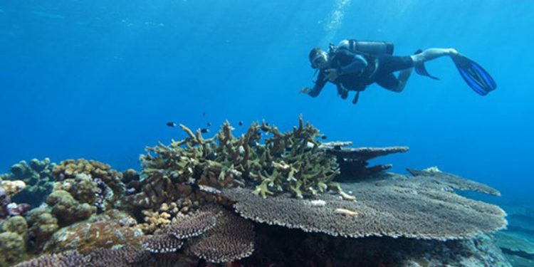 KKP Tetapkan Kawasan Konservasi di Maluku Tengah Seluas 683.826,89 Hektare