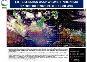 Sebaran Asap Karhutla di Sebagian Wilayah Indonesia, BMKG: Jabodetabek Mulai Menjauh