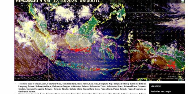 Sebaran Asap Karhutla di Sebagian Wilayah Indonesia, BMKG: Jabodetabek Mulai Menjauh