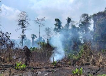 Karhutla di Pulau Karakelang Talaud Sulawesi Utara