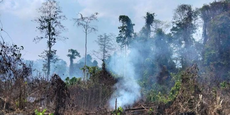 Karhutla di Pulau Karakelang Talaud Sulawesi Utara