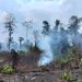 Karhutla di Pulau Karakelang Talaud Sulawesi Utara