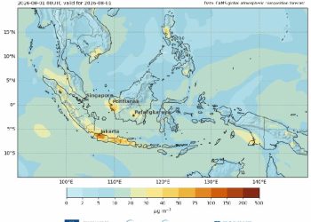 Copernicus Atmosphere Tampilkan Konsentrasi Harian PM2.5 di Indonesia dan Benua Maritim