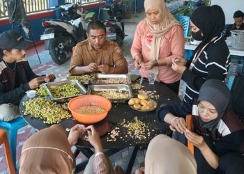 Kreativitas Mahasiswa KKN UNG Olah Pangan Lokal Biji Teratai