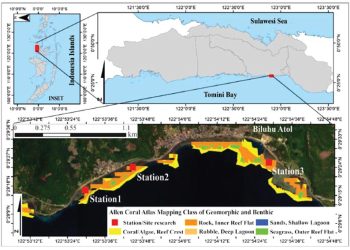 Keberadaan Teripang di Balik Mosaik Habitat Lamun Teluk Tomini