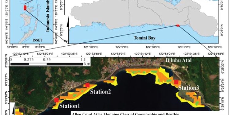 Keberadaan Teripang di Balik Mosaik Habitat Lamun Teluk Tomini