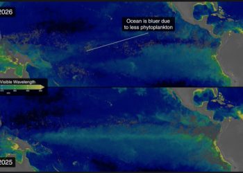 Satelit NASA Mengamati dan Melacak El Niño di Pasifik Khatulistiwa