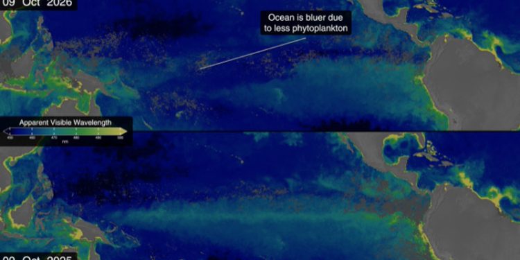 Satelit NASA Mengamati dan Melacak El Niño di Pasifik Khatulistiwa