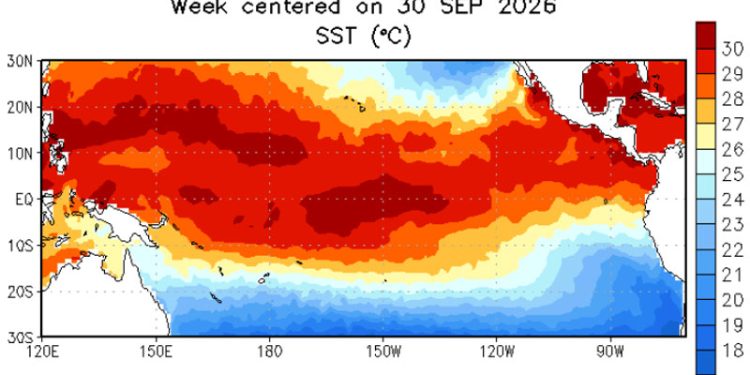 Anomali Suhu Permukaan Laut di Pasifik Khatulistiwa Pusat Fenomena El Niño