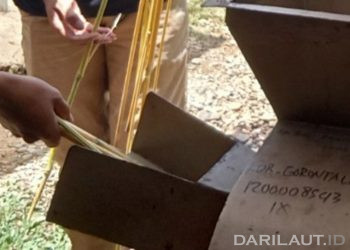 Sorgum Berpeluang Dikembangkan pada Beragam Produk Pangan