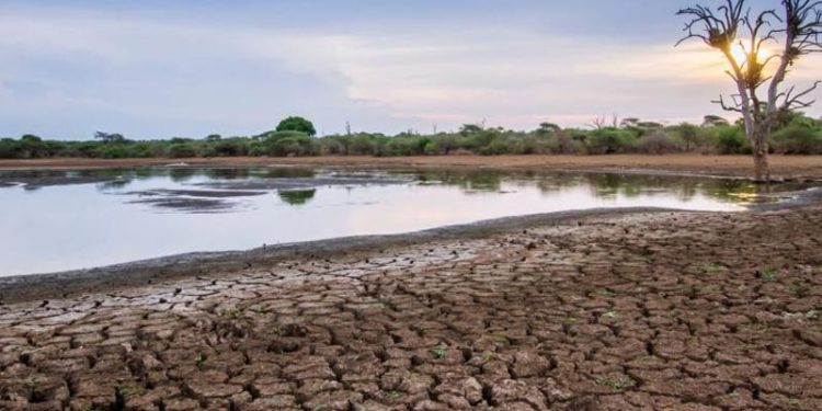 El Niño Akan Memicu Berbagai Ancaman Bahaya