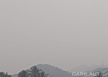 Asap Menyebar di Sumatera, Kalimantan, Sulawesi, Maluku dan Papua