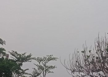 Sebaran Asap di Pulau Sulawesi