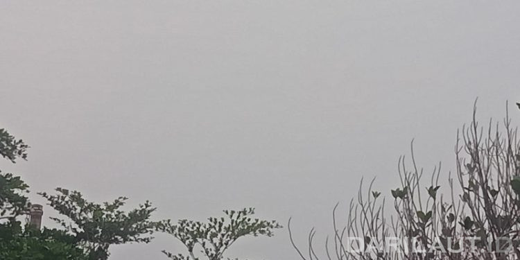 Sebaran Asap di Pulau Sulawesi