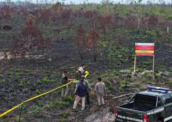 32 perusahaan di 7 Provinsi Kena Sanksi Administratif dan Proses Pidana Kebakaran Hutan