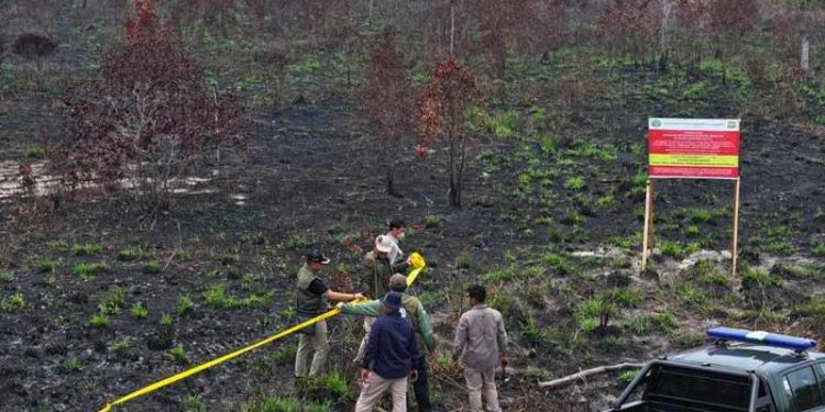 32 perusahaan di 7 Provinsi Kena Sanksi Administratif dan Proses Pidana Kebakaran Hutan