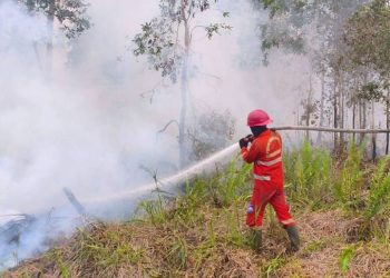 Singapura Memiliki Otoritas Memberi Sanksi Penyebab Polusi Asap Lintas Batas