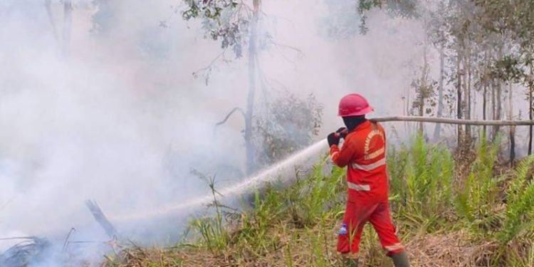 Singapura Memiliki Otoritas Memberi Sanksi Penyebab Polusi Asap Lintas Batas