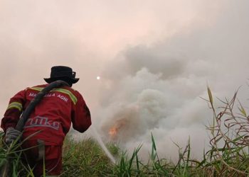Titik Panas Kalteng Terbanyak, Kualitas Udara Palangkaraya Kategori Berbahaya