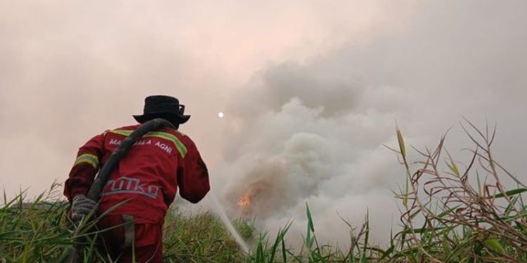 Titik Panas Kalteng Terbanyak, Kualitas Udara Palangkaraya Kategori Berbahaya