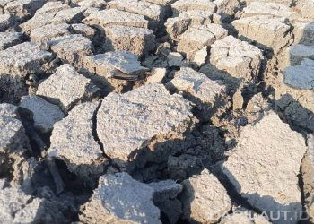 El Niño Terkuat Tahun Ini Diprediksi Dapat Menyebabkan 451 Ribu Kematian di Berbagai Negara, Termasuk Indonesia