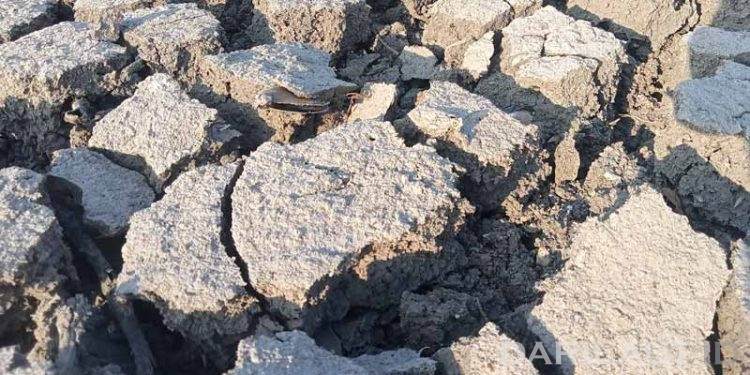 El Niño Terkuat Tahun Ini Diprediksi Dapat Menyebabkan 451 Ribu Kematian di Berbagai Negara, Termasuk Indonesia