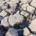 El Niño Terkuat Tahun Ini Diprediksi Dapat Menyebabkan 451 Ribu Kematian di Berbagai Negara, Termasuk Indonesia