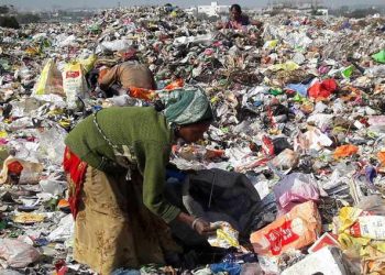 FAO: Belum Ada Kemajuan Nyata Mengurangi Kehilangan Pangan dan Memangkas Limbah Makanan