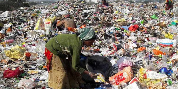 FAO: Belum Ada Kemajuan Nyata Mengurangi Kehilangan Pangan dan Memangkas Limbah Makanan