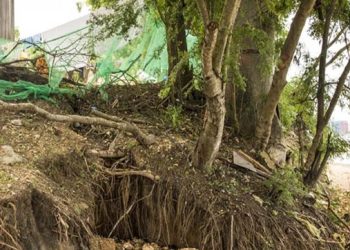 Naiknya Permukaan Laut Menghantam Tanzania, Air Asin Masuk 8 km